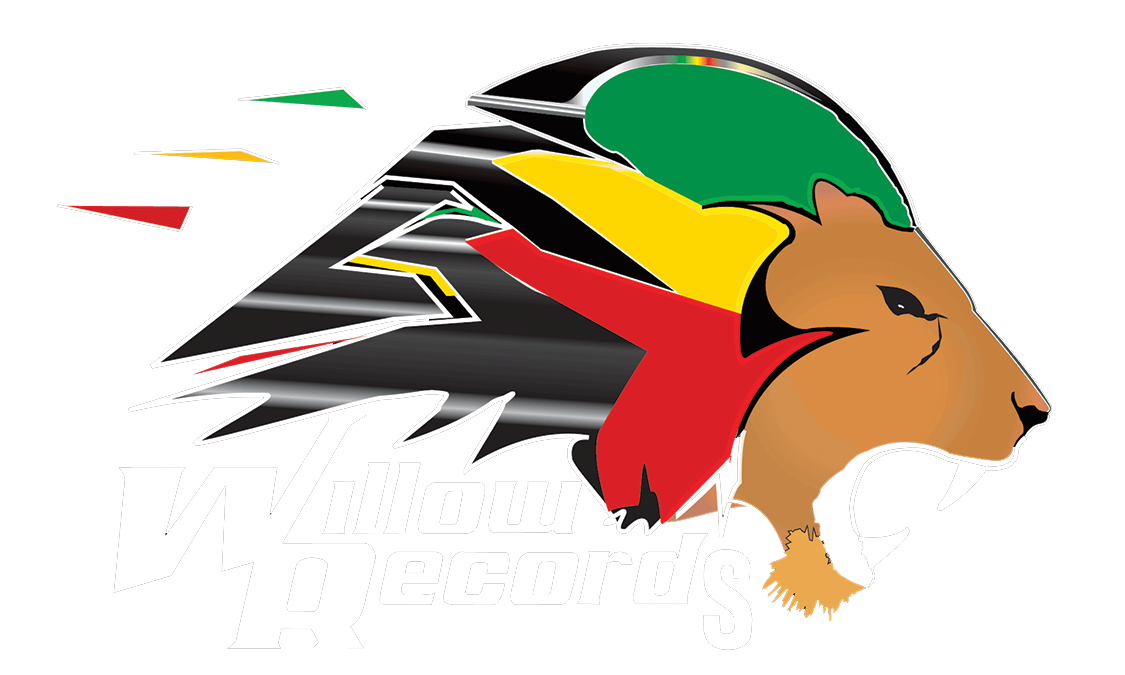 willowsrecords.com